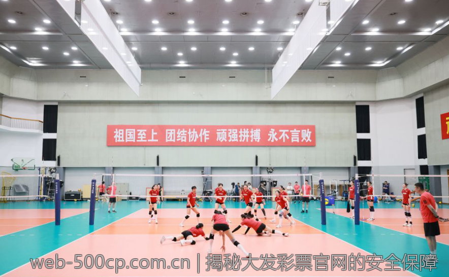 揭秘大发彩票官网的安全保障
