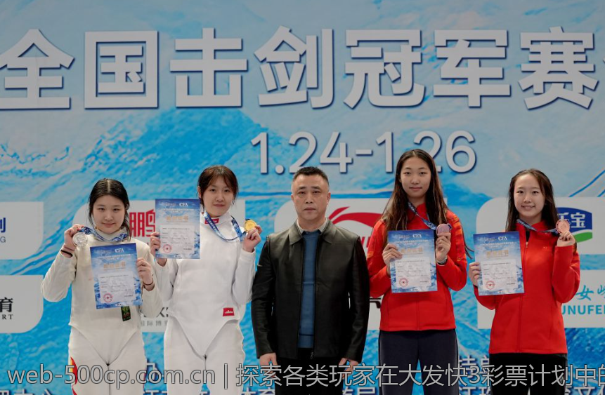探索各类玩家在大发快3彩票计划中的表现